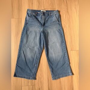 Ella Moss Crop Wide-Leg Denim Jeans High rise Sz 14